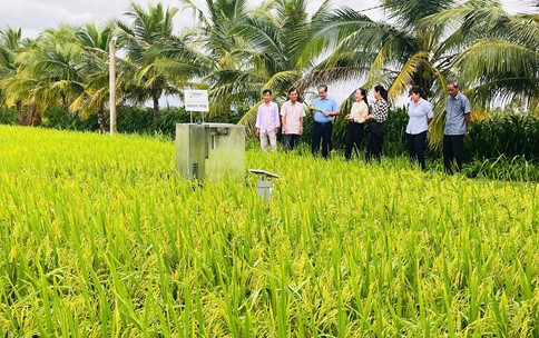 6 tháng đầu năm, kinh tế - xã hội xã Châu Thành đạt nhiều kết quả tích cực