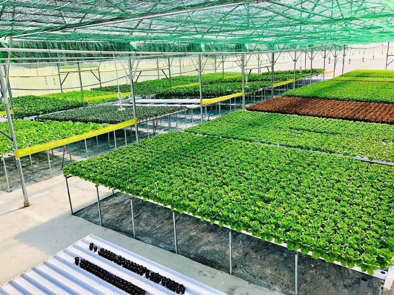Xã Châu Thành đẩy mạnh phát triển nông, ngư nghiệp theo hướng bền vững