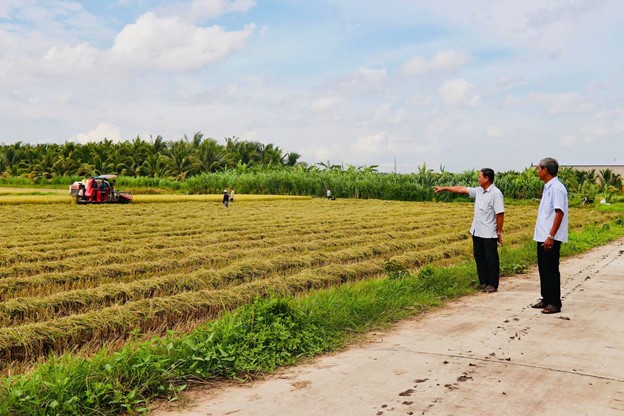 Chuyển đổi sản xuất gắn với xây dựng cảnh quan môi trường: Hướng đi bền vững trong xây dựng nông thôn mới ở Châu Thành